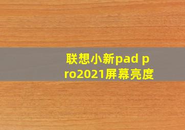 联想小新pad pro2021屏幕亮度